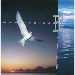 张柏芝08年的照片大全
