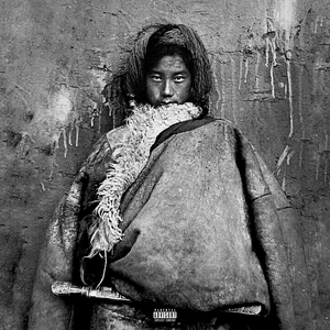 张柏芝08年的照片大全
