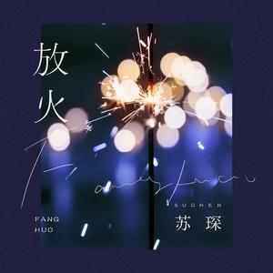 张柏芝08年的照片大全
